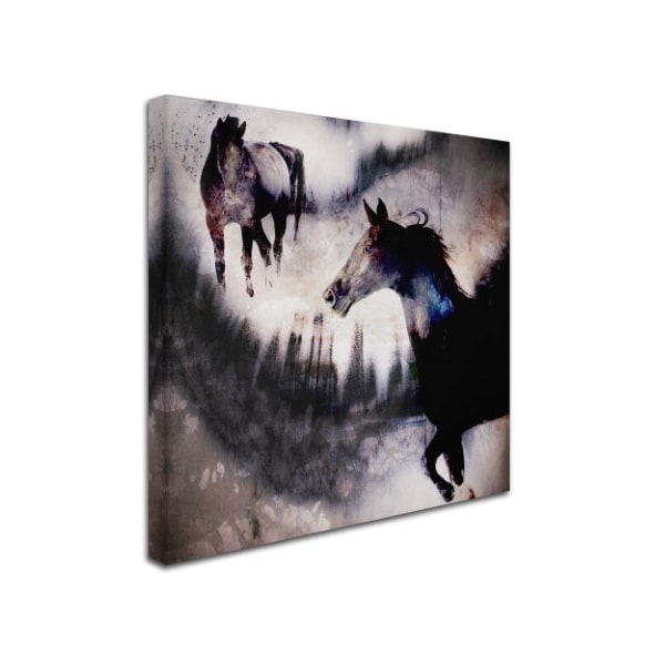 LightBoxJournal 'Black Mare - Dream 1' Canvas Art,14x14